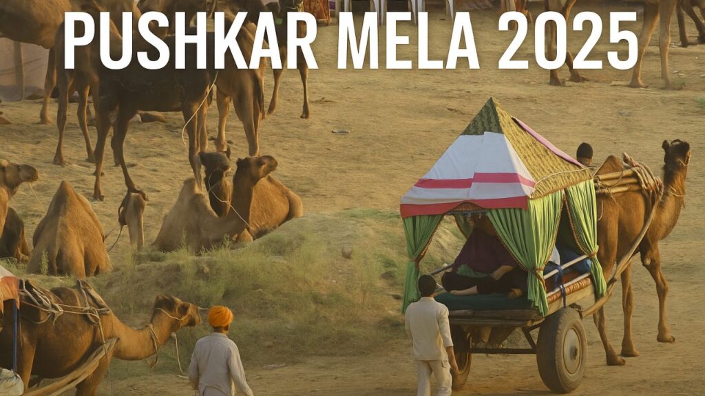 Pushkar Mela 2025